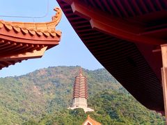 -深圳仙湖植物园