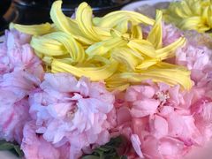 牡丹花-翔雄农庄