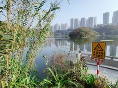 -重庆彩云湖湿地公园