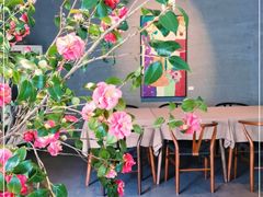 -曲廊院(东四十一条店)