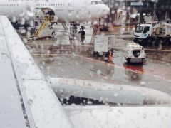 -谢列梅捷沃国际机场