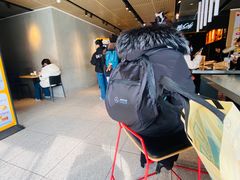 -麦当劳(花园北路店)