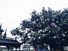 -草庵摩尼教遗址公园