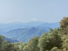 -莫干山风景区