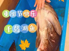 -旭龙鱼头王(航华店)