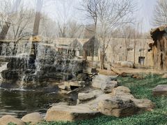 -北京野生动物园