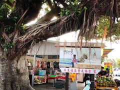 -白沙湾海滩