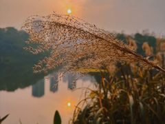 -重庆彩云湖湿地公园