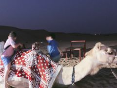 -迪拜沙漠冲沙