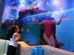 -瑞德姆美人鱼海底演艺主题餐厅(亚龙湾店)
