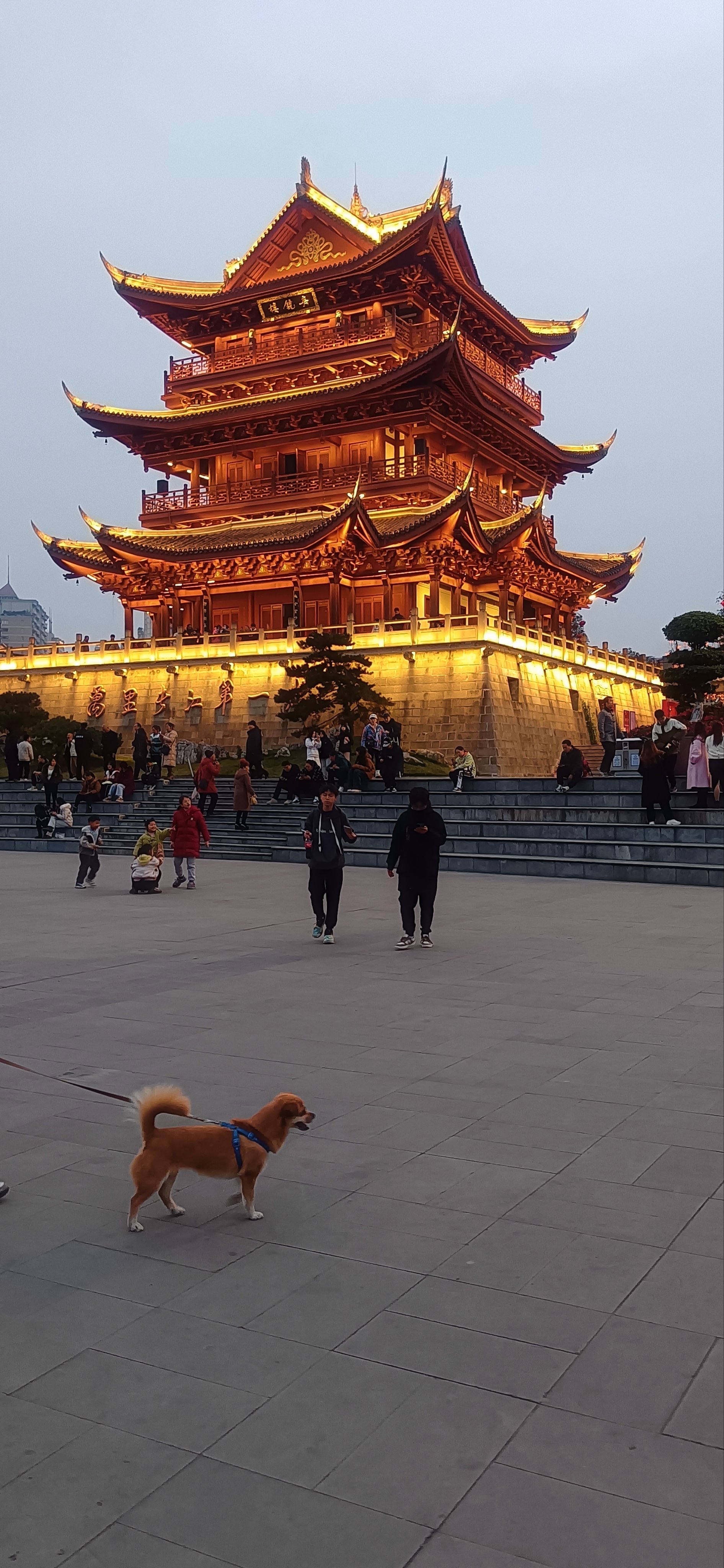 宜宾一日游旅游景点图片