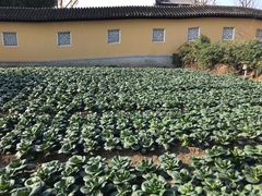 -重元寺香积厨素斋馆