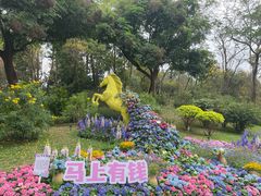 -云溪植物园