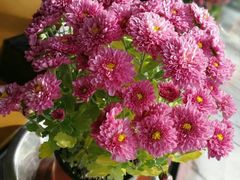 -三品尚院(贝勒府旧址店)