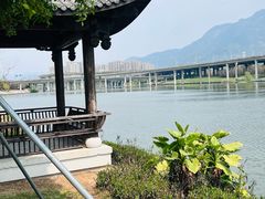 -光明港公园