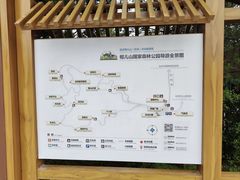 -帽儿山国家森林公园