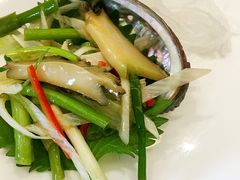 -中苑海韵