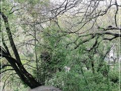 -乌山风景区