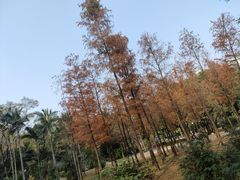 -晓港公园