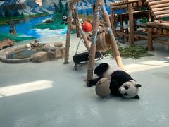 -柳州市动物园