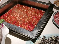 -二荆条·蜀鲜汇城市森林火锅