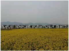 -东梓关景区村庄