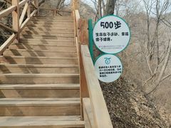 -大岭沟猕猴桃谷风景区