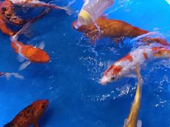 -上海世纪汇广场