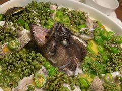 青青椒麻龙胆鱼-CHIC1699远洋私厨