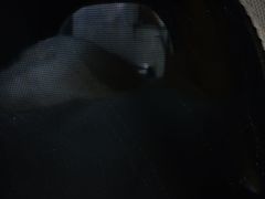 -半岛宠物医院24小时(科华中路店)