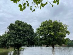 -松山湖风景区松湖烟雨