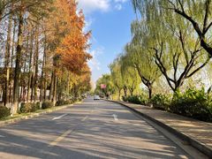 -太阳岛度假酒店