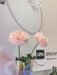 -名媛颜蕙·LPG官方旗舰店