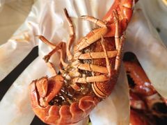 -聚味瞿记·龙虾堂(树木岭店)