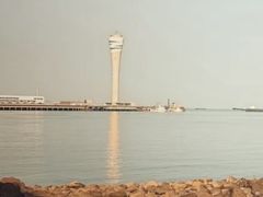 -上海吴淞炮台湾国家湿地公园