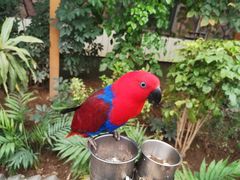 -南宫五洲植物乐园