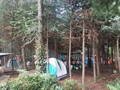 -重庆睡佛山森林公园