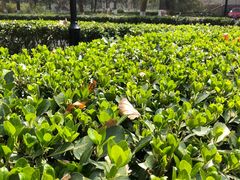 -陕西师范大学(雁塔校区)