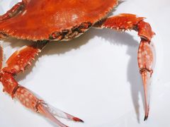 -海天一色海景自助餐厅(西港花园店)