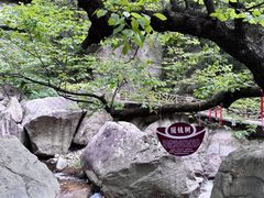 -洛阳白云山景区