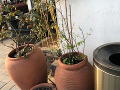 -望海·帆船主题咖啡厅•品茗下午茶(石湖景区店)