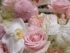 -好利来(革新店)