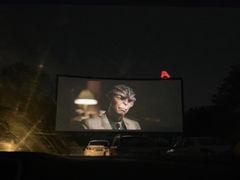-枫花园汽车电影院(朝阳公园店)