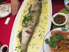 清蒸白条-福记大酒店(星湖街区店)