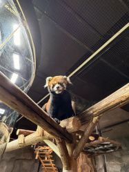 -Zoolung Zoolung动物主题公园(海信广场店)