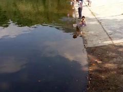 -银湖山郊野公园-相思林