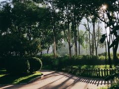 -比格比萨自助(花园路店)