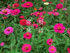 -永定河休闲森林公园