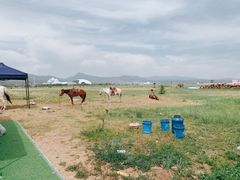 景点-敕勒川草原