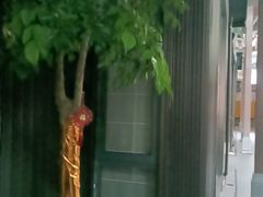 -阿伟海鲜楼·福建菜(涵江店)